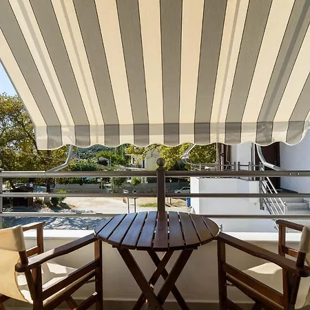 Aurora * פלאטניאס